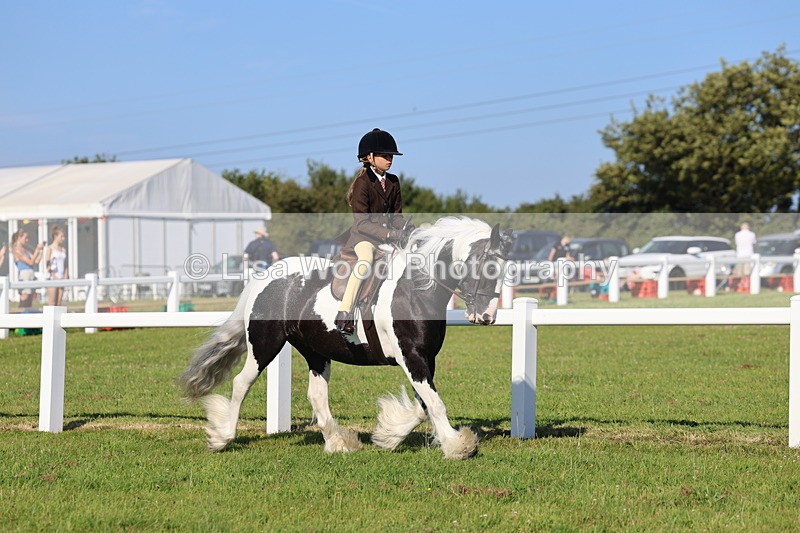 IMG_1471 - Class 30: Ridden Native/Trad Coloured Pony