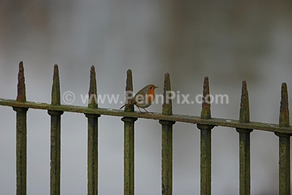 118 - Photos of Wakefield - Yorkshire