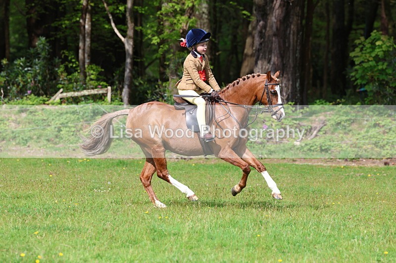 3E7A2707 - Working Hunter Championship