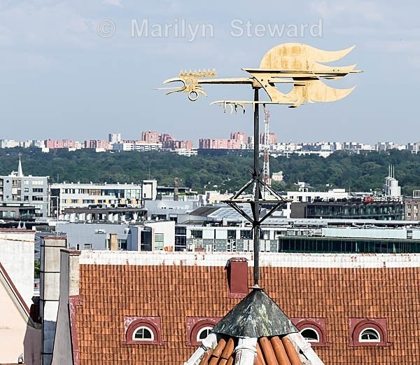 Tallinn-weather vane - Scandinavia and The Baltics