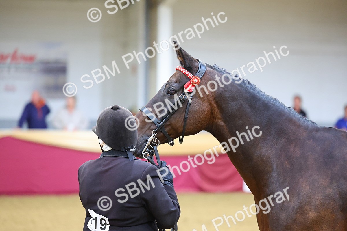 SBM_19484 - Class 901 - Supreme Final - IH Diamond