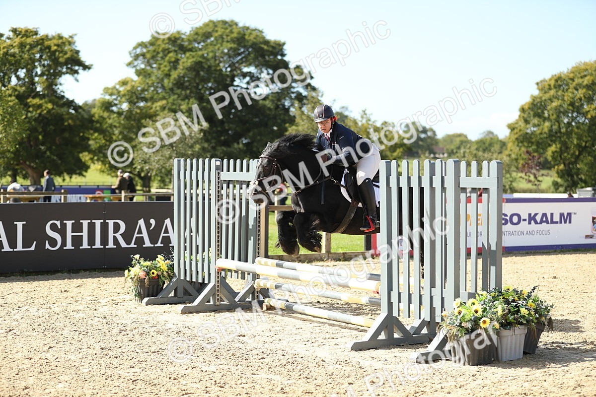 SBM_04654 - J28 - Senior Horse & Pony 60cm Championships