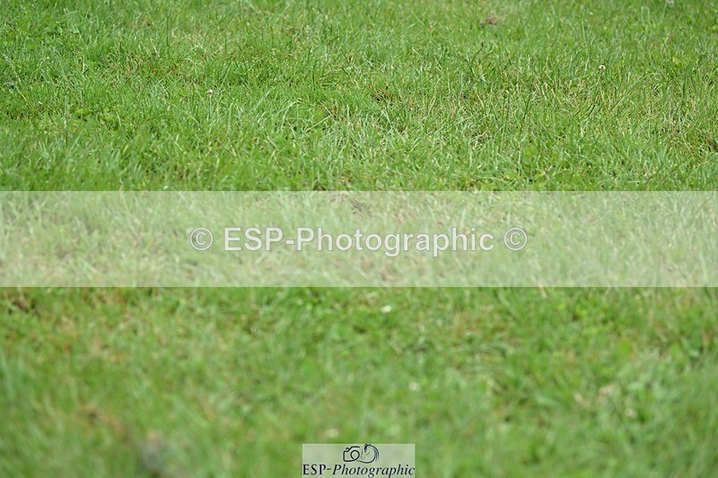 240526-142258-23942 - 503-THE_PARTNER-Will_Rawlin