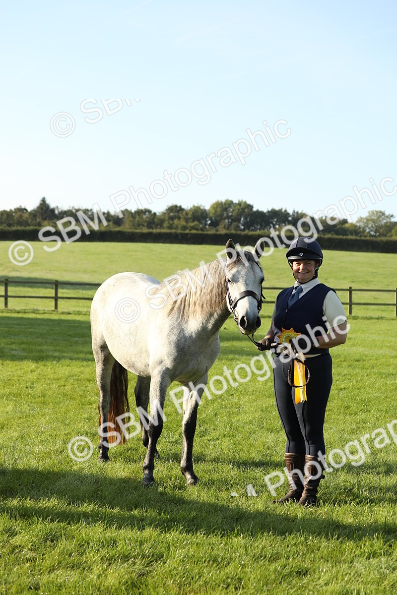 SBM_57992 - S42 - Youngstock