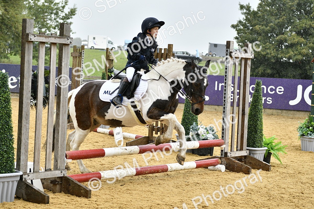 SBM_70785 - J3 - Mini Tour Junior Pony 40cm championship