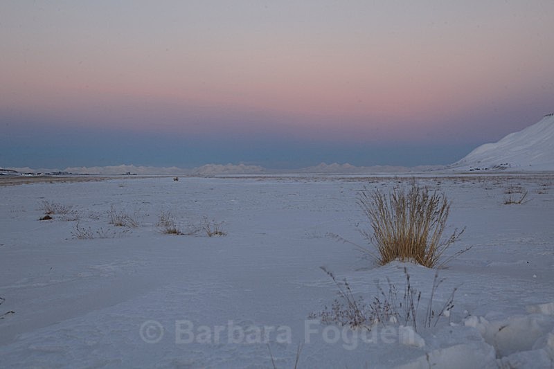 Winter 44 - Latest Photos