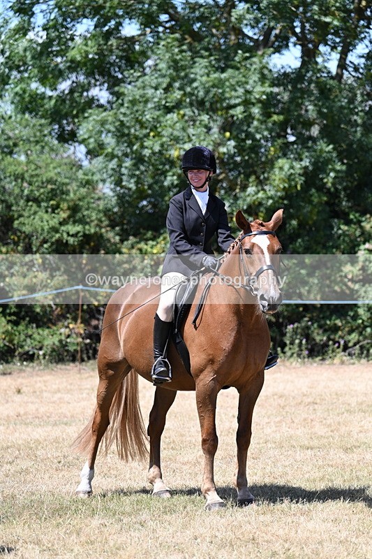 WJ7_3173 - Class 7 Riding Club Show Horse