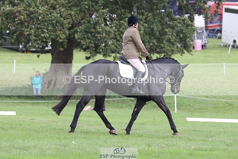 231019-150639-04784 - 448-BARATHEON-Georgina.Owen-DR