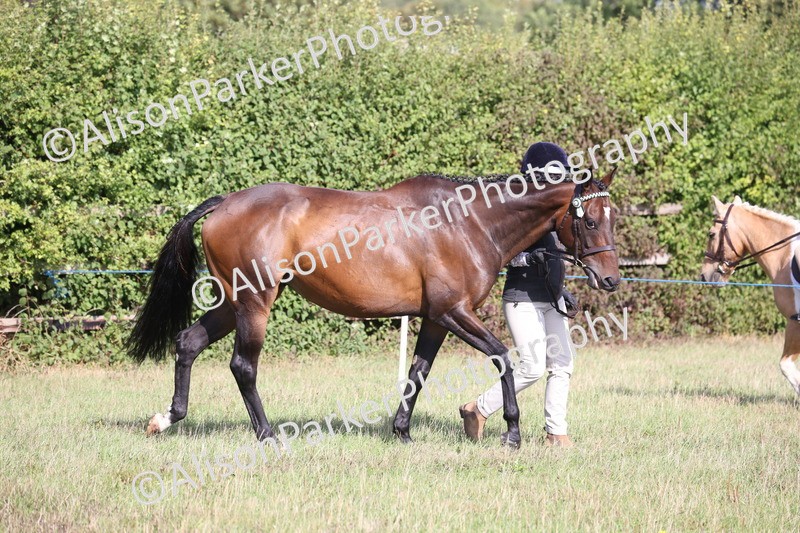 20260906-0668 - Class 22 - Ex Racehorse