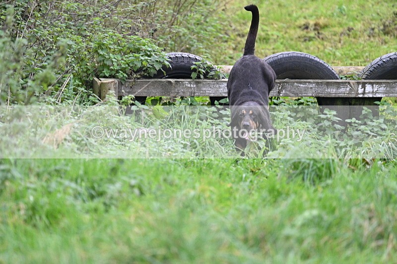 WJ7_8957 - Camera 1 only on this line