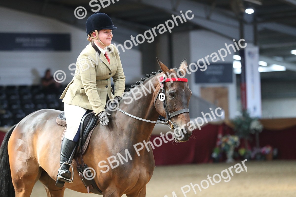 SBM_12389 - Class 108 Ridden Retired Racehorse- Pre Judging