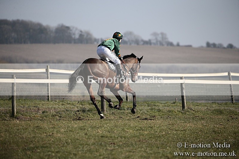 PtP 240218 312 - Vine & Craven Hunt Point-to-Point Barbury racecourse 24/02/18