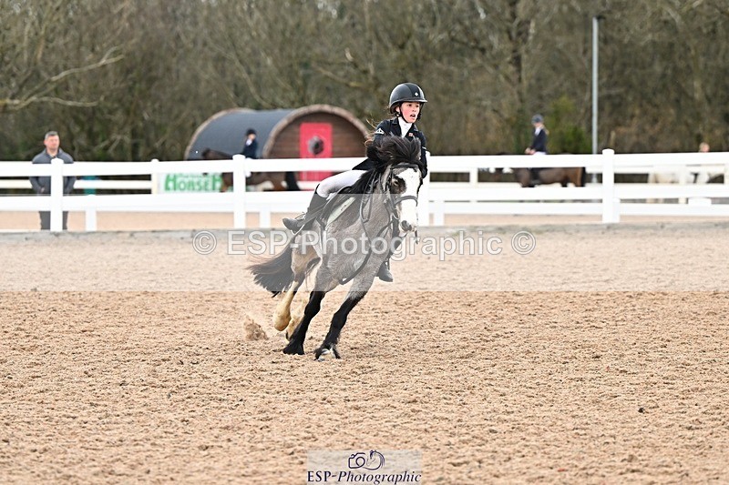 250308-141136-02237 - Cls 30 Stepping Stones