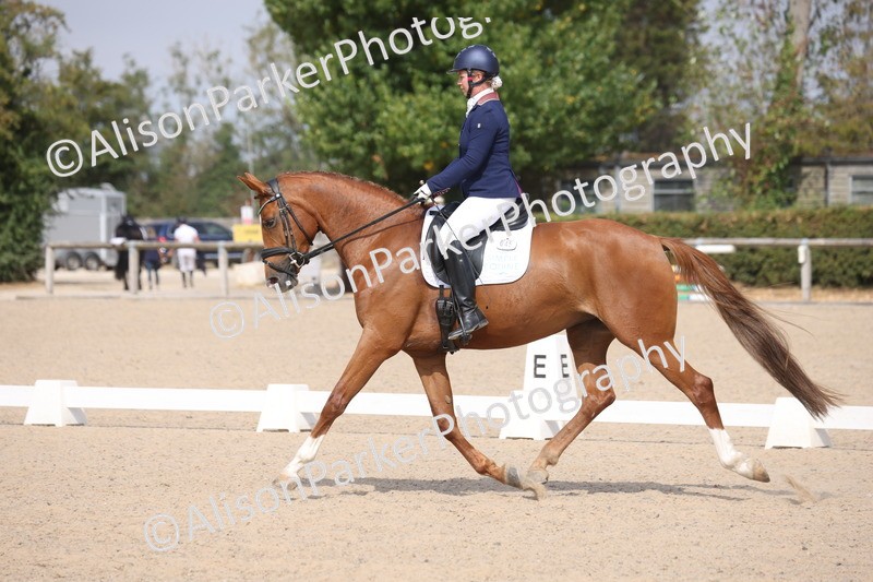 20260816-0661 - Class 3 - Novice 4