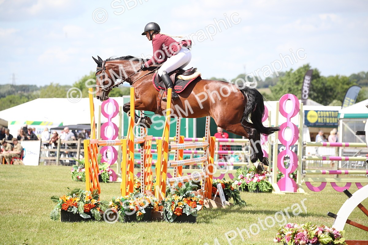 SBM_17392 - Class 208 - Senior Foxhunter 1.20m Open