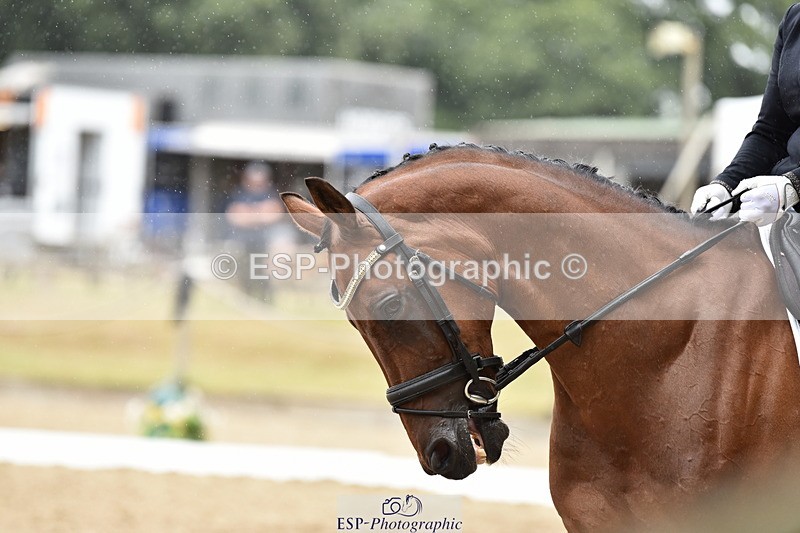 140110A-001920-10581 - 113-Danielle.Thackray-ROMANNO.MAYDREAM