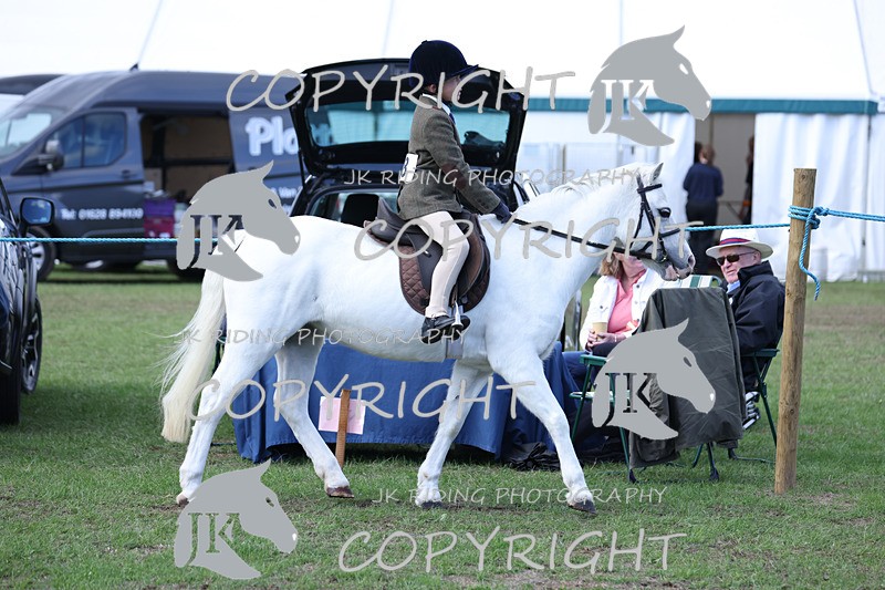 APP_4113 - Class 15a/b Pony club pony/Riding club horse
