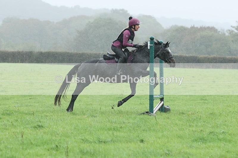 JPP_5106 - Class 1: 65cm : Showjumping