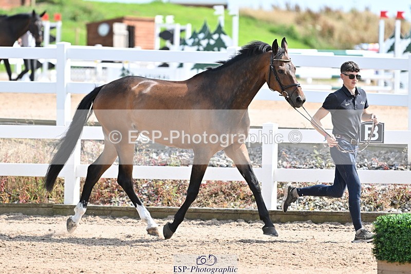 240717A-153433-02896 - Trot Up 3pm to 4pm