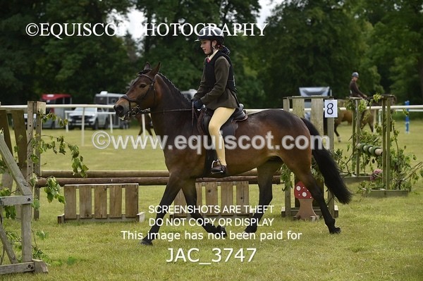 JAC_3747 - 75CM WORKING HUNTER