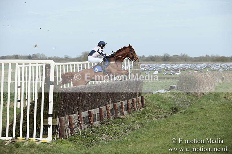 PtP 230319 349 - VWH Hunt Siddington Point-to-Point Racing 23/03/19