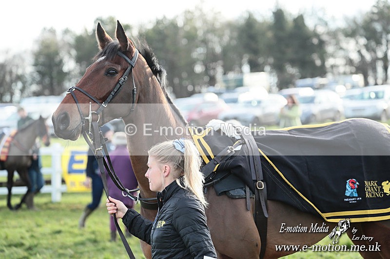 PtP 141225  1267 - New Forest Hounds PtP Larkhill 14/12/25