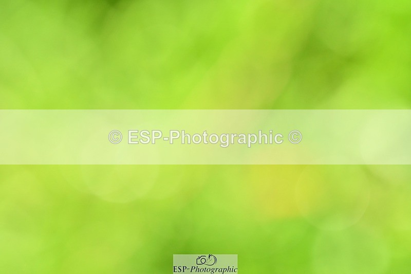 231110-115100-01308 - Cls 5 Elementary 43