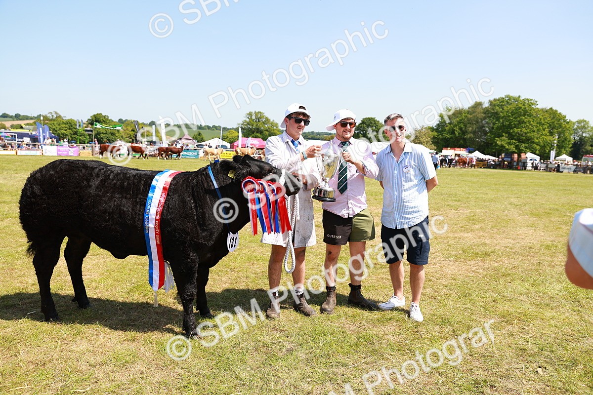 SBM_16443 - Grand Parade