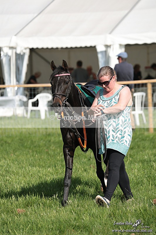 PR 250526 35 - Pony Racing from Chaddesley Corbett 25/05/26