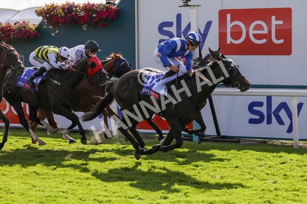 240824-Race 5-Elmonjed-9178 - Race 5 4.10pm Sky Bet Constantine Handicap