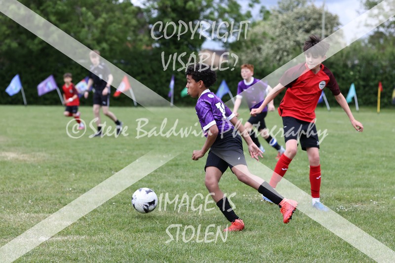 1DX31097 - Brook Field V Goddard Park