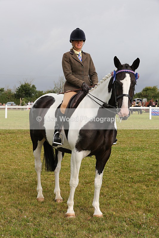 1X9A2938 - Class 25: Ridden Plaited Coloured Horse
