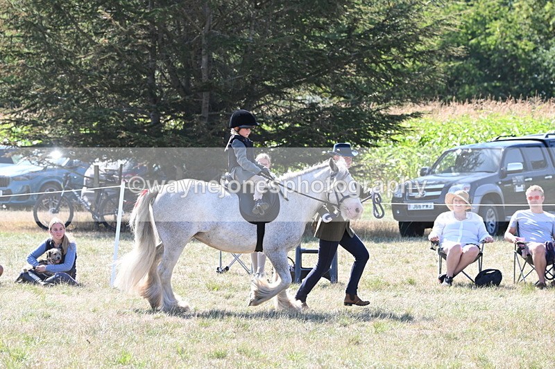 WJ6_7908 - Class 36 Lead Rein