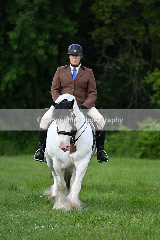 WJ7_1025 - Class 11 Condition & Turnout