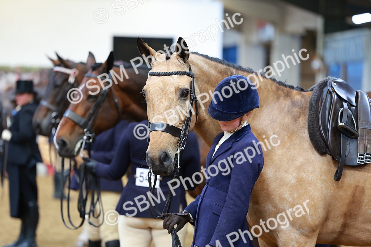SBM_20136