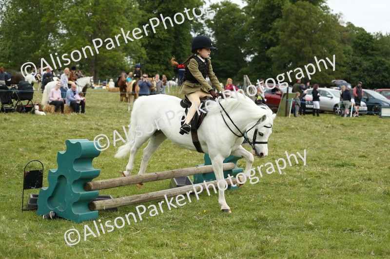 20250517-1074 - Class 21 - Novice Working Hunter