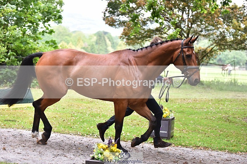 240522-170942-01431 - 241-CLASS_ROMANCE-Jack_Pinkney