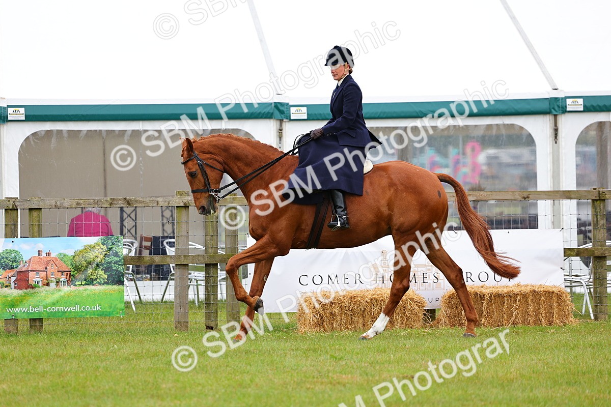SBM_02739 - Class 9-11 Side Saddle including LIHS Rising Star Ladies Show Horse