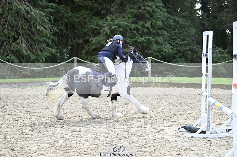 251005A-121452-03681 - Cls 08 Mini 70-75cm