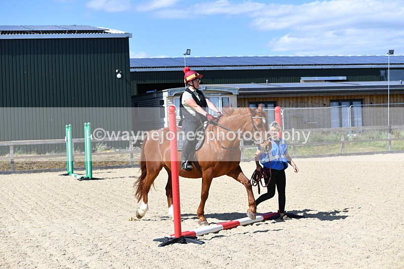 WJ5_4910 - Poles on the Floor