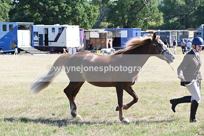 WJ6_4503 - Class 17 Mountain & Moorland