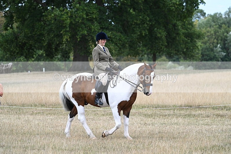 WJ7_4611 - Class 12 Ridden Cob