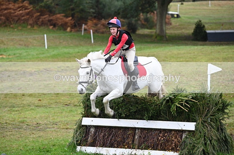 WJ6_2681 - 80cm Cam 1 Time 11:23 to 12:04