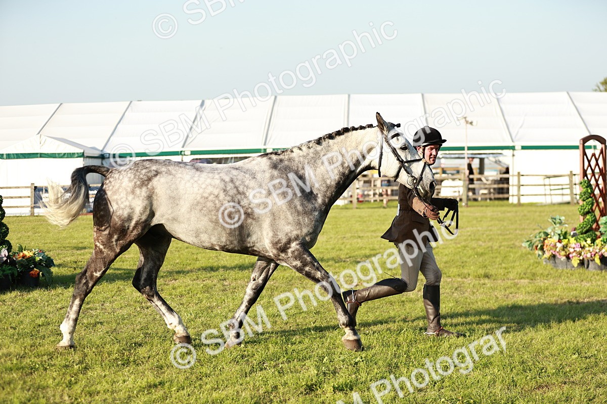 SBM_20526 - Class 117-119 - Sport Horse Working Hunter