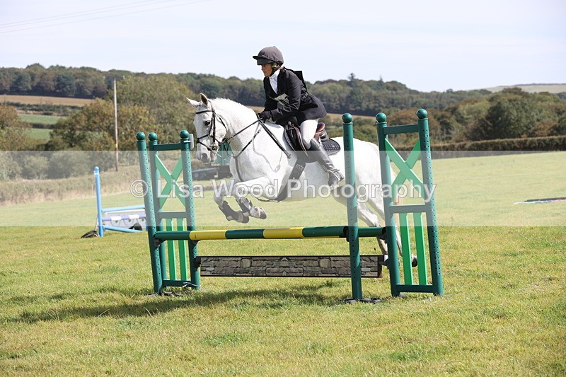 JPP_8723 - Class 2: Trekenning: 80cm Showjumping