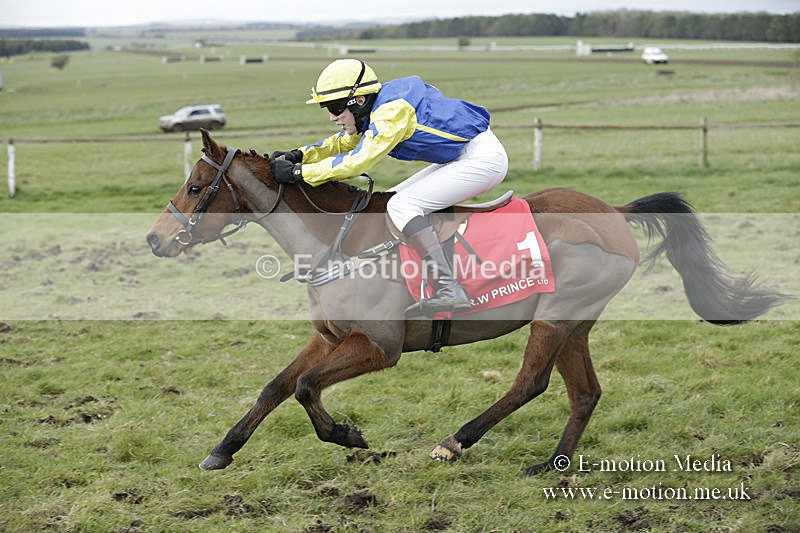 PtP 150320 0832 - New Forest Point-to-Point Larkhill 15/03/20