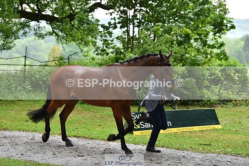 240522-162204-00865 - 231-DHI_ROCK_DANCER-Roberto_Scalisi