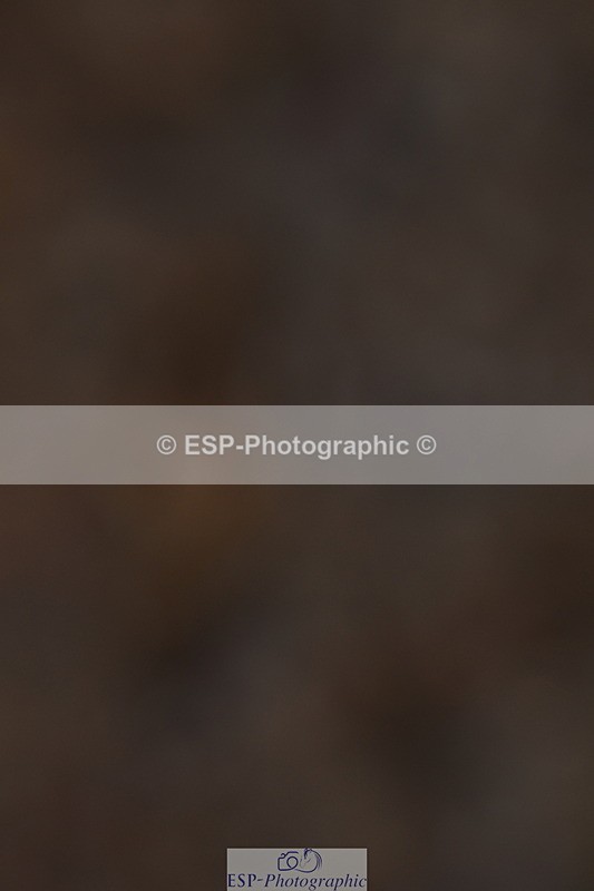 231104A-133856-00682 - Cls 15 Music Adv Medium