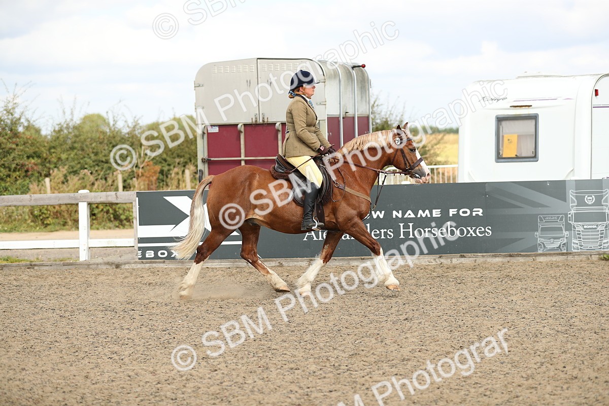 SBM_04731 - Class 46b Style & Performance 50cm (20+)