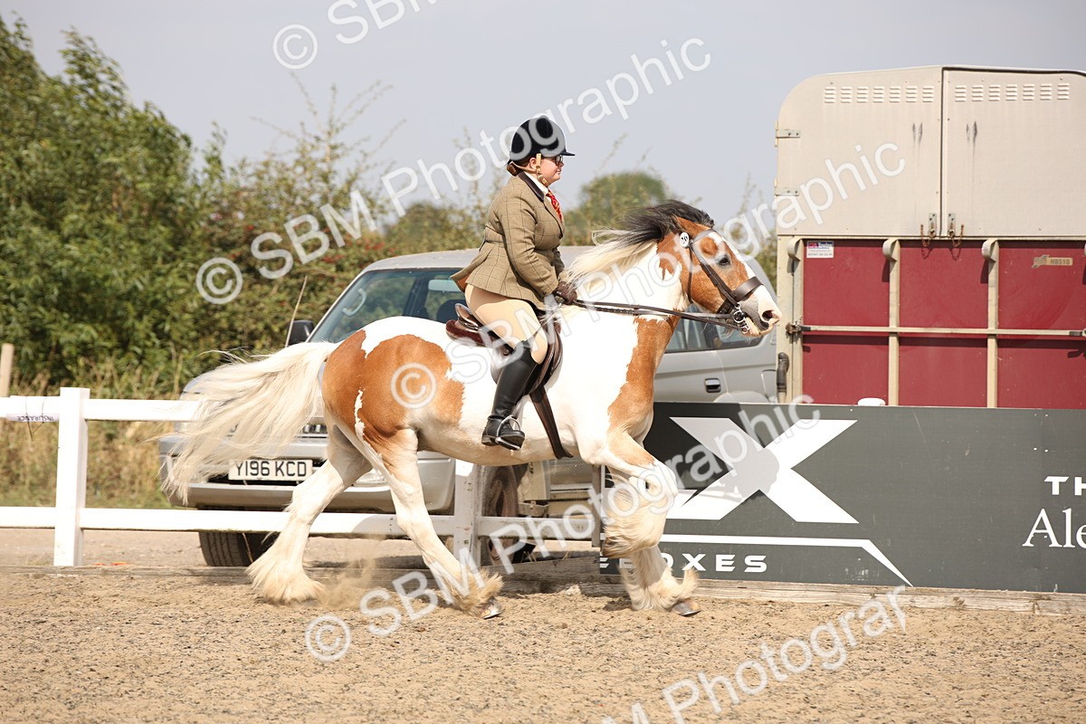 SBM_14279 - Class 407b - Working Veteran 60cm (20+)